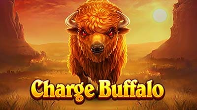 Charge Buffalo